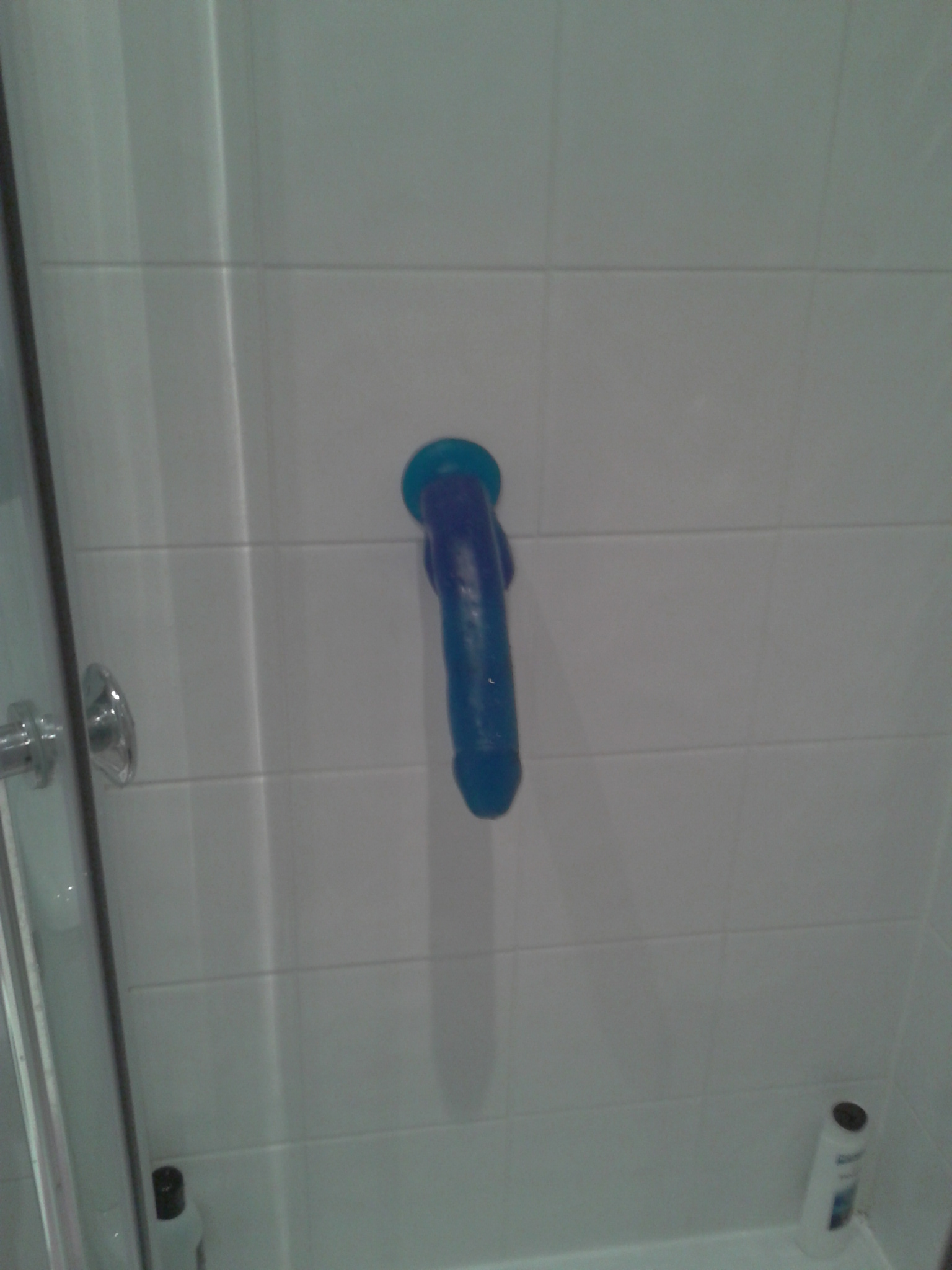 Prolapsed anus video Dildo in the shower